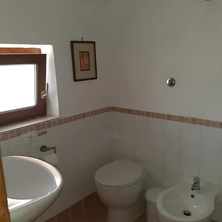 Casa Maria Apartment Cincu Room photo