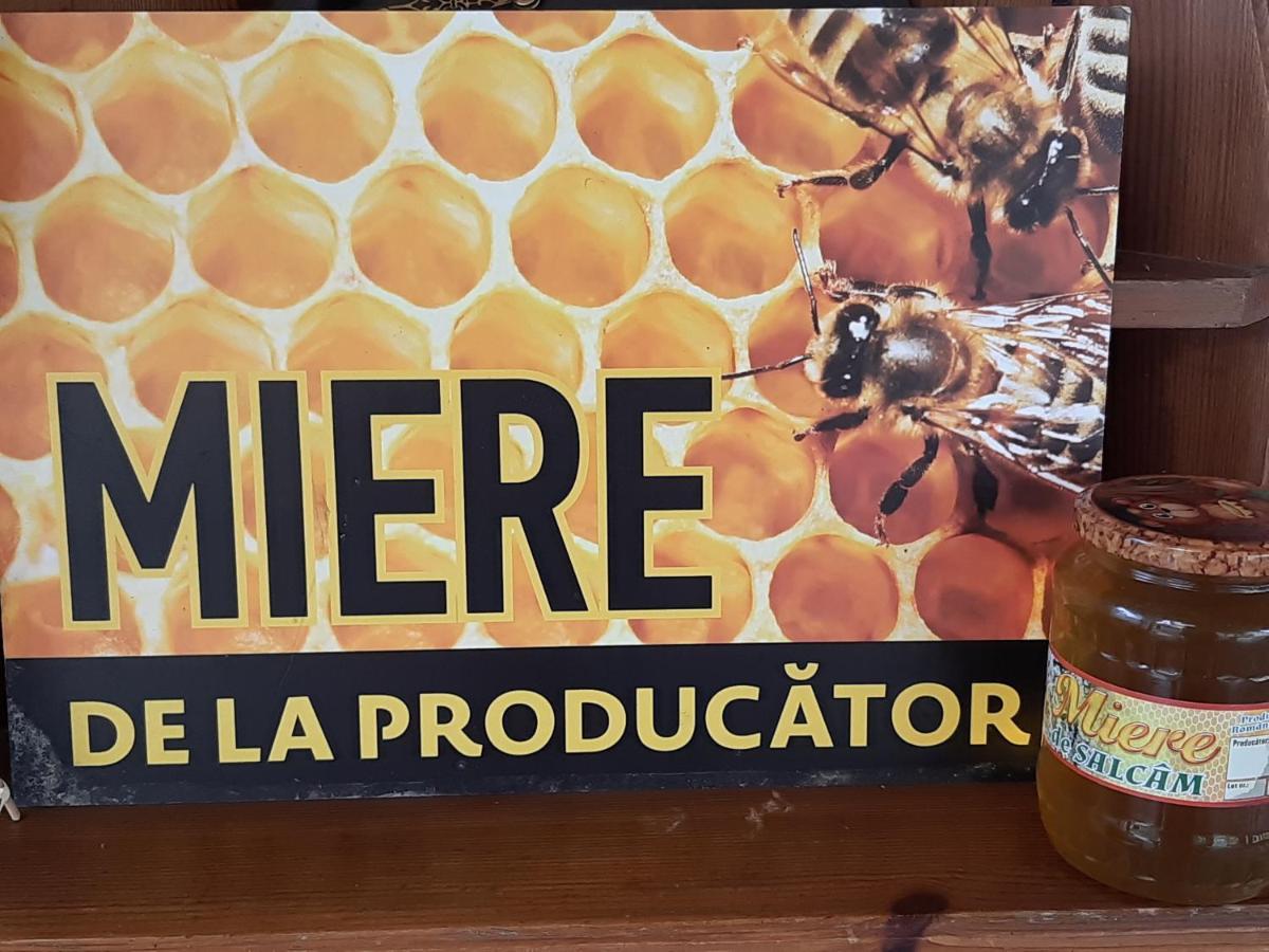 Séjour chez l'habitant Casa Maria *