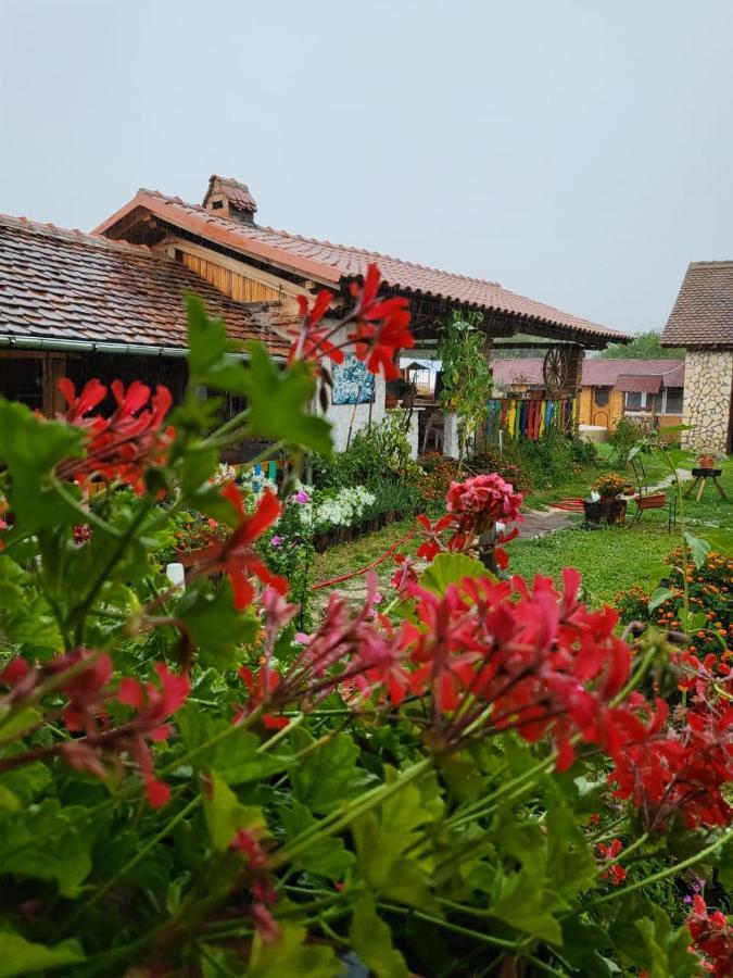 Casa Maria Séjour chez l'habitant *