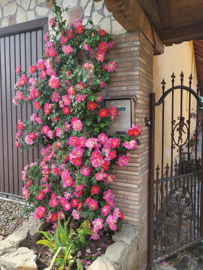Casa Maria * Cincu