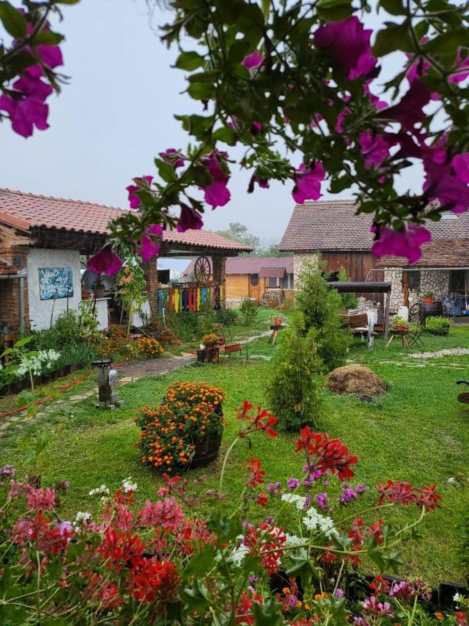 Séjour chez l'habitant Casa Maria