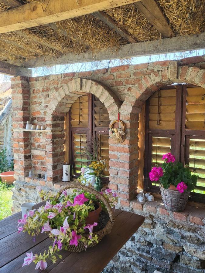 Casa Maria * Cincu