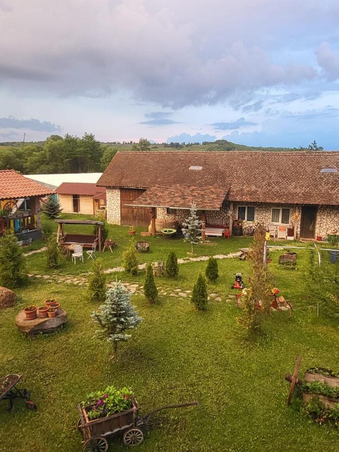 Casa Maria Séjour chez l'habitant