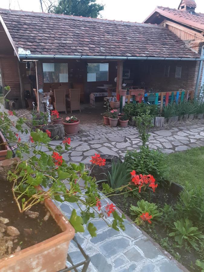 Casa Maria Cincu