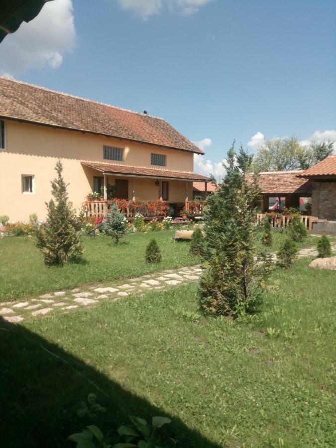 Séjour chez l'habitant Casa Maria Cincu